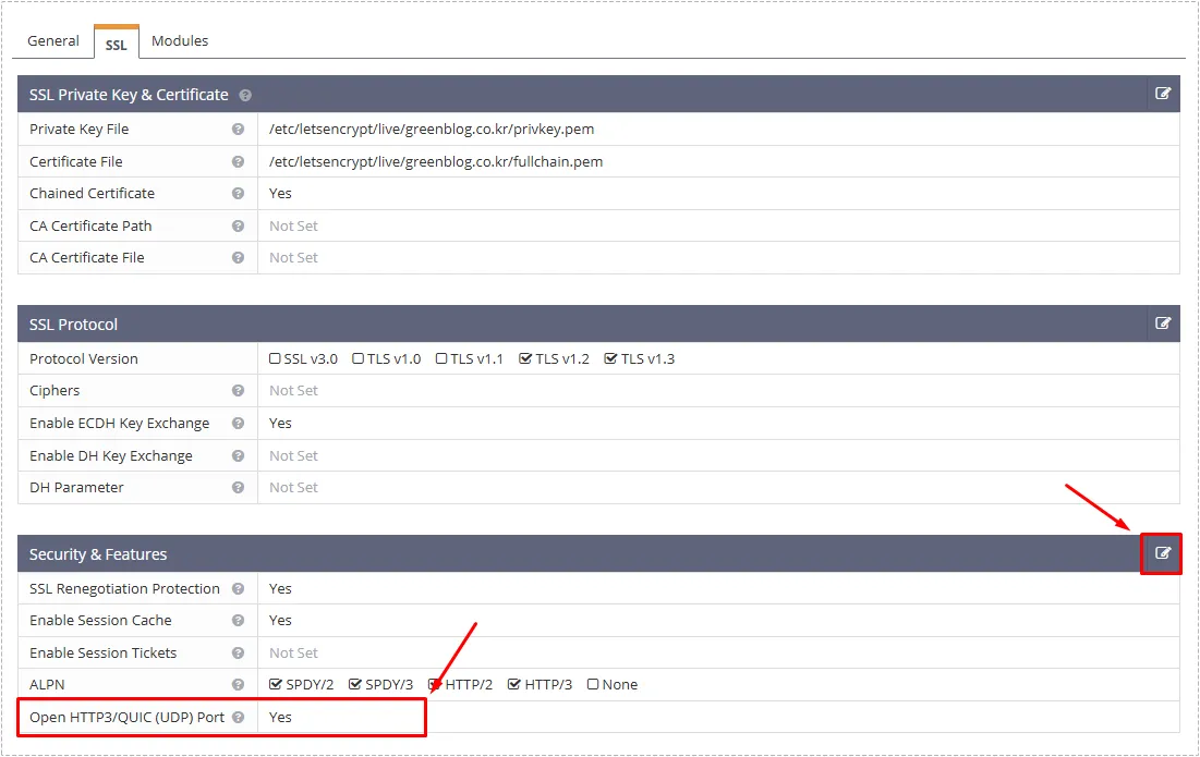 SSL 설정 상단 탭에서 SSL 선택하고 HTTP3/QUIC 옵션 열기
