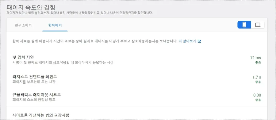 사이트 속도 측정 페이지 경험 화면
