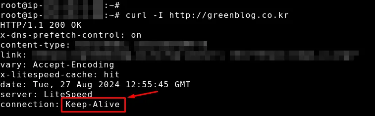 워드프레스 Keep-Alive 설정 확인 curl 응답 헤더 화면
