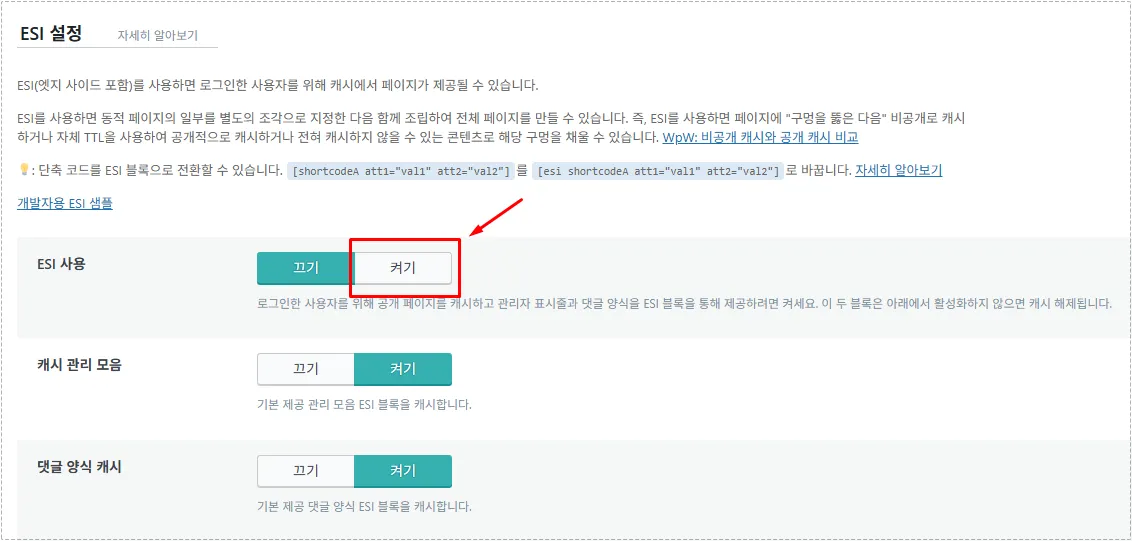 LiteSpeed Cache ESI 사용 켜기 설정 화면