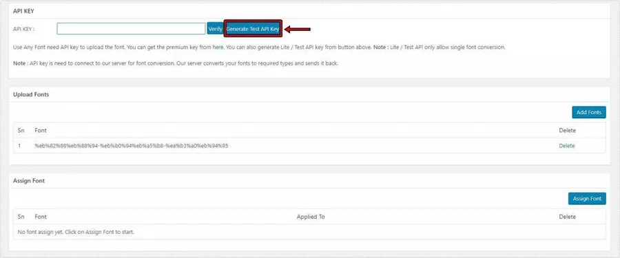 워드프레스 나눔바른고딕 적용을 위한 Use Any Font API 키 설정 화면