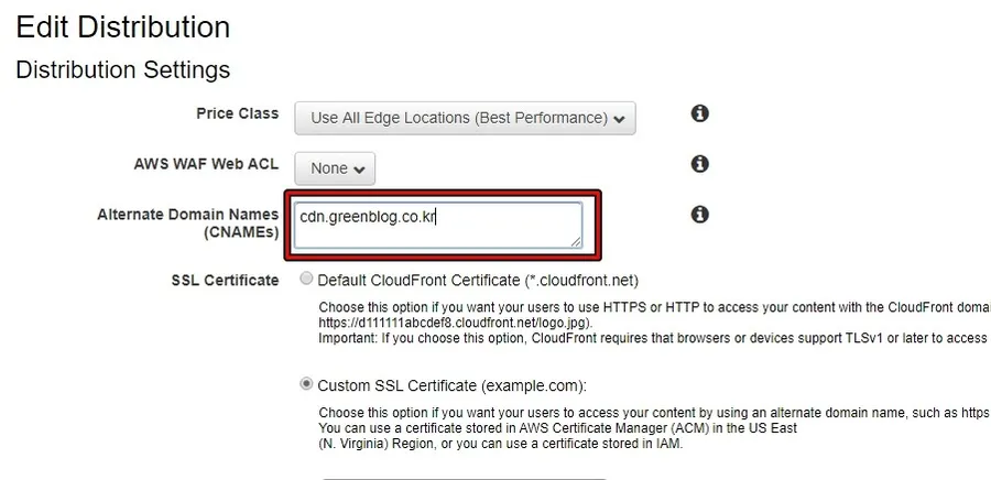 CloudFront Alternate Domain Names 설정 화면