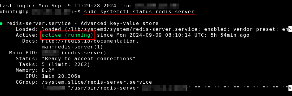 OpenLiteSpeed Redis 설정을 위한 redis-server active running 상태 확인 화면