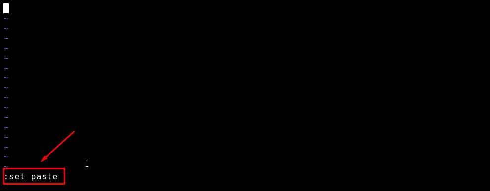sudo vim 붙여넣기 오류 해결 set paste 화면