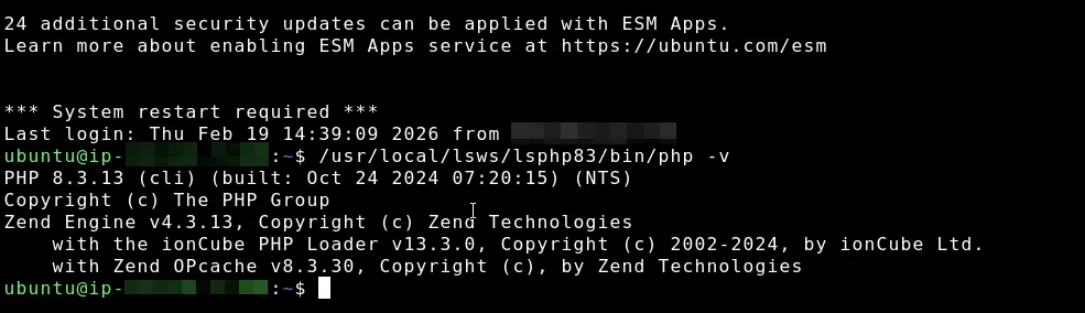 Terminal output showing Zend OPcache enabled in PHP 8.3