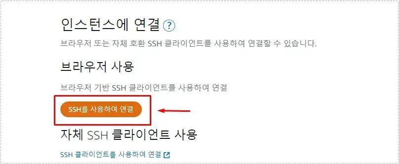 Amazon Lightsail 인스턴스 화면에서 SSH를 사용하여 연결 버튼을 선택하는 모습