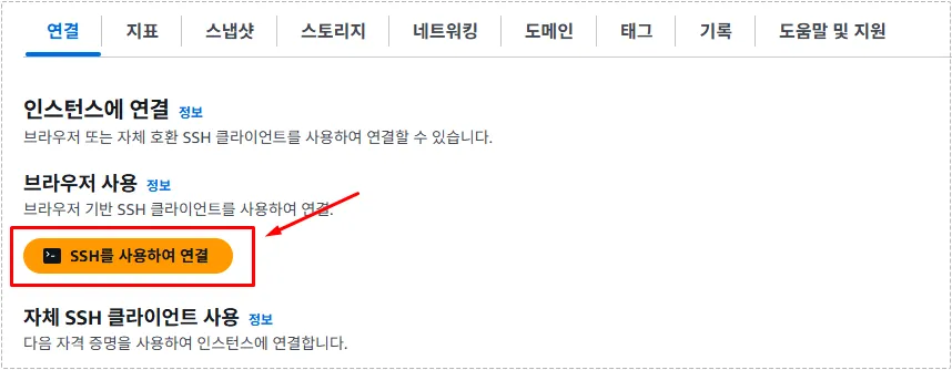라이트세일 SSH 브라우저 연결 화면