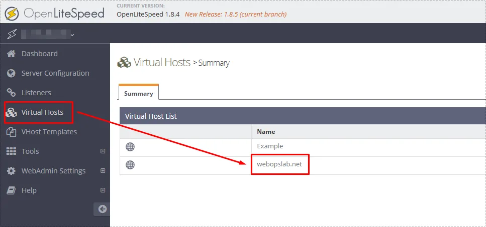 OpenLiteSpeed WebAdmin Virtual Hosts menu with active domain selected