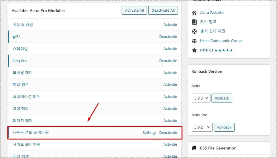 Astra Pro 모듈에서 사용자 정의 레이아웃을 활성화하는 화면