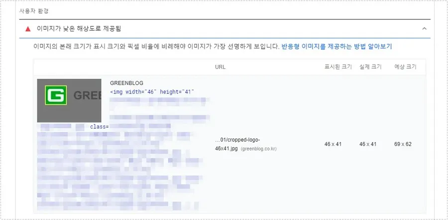 워드프레스 로고 해상도 낮음 PageSpeed 경고 화면