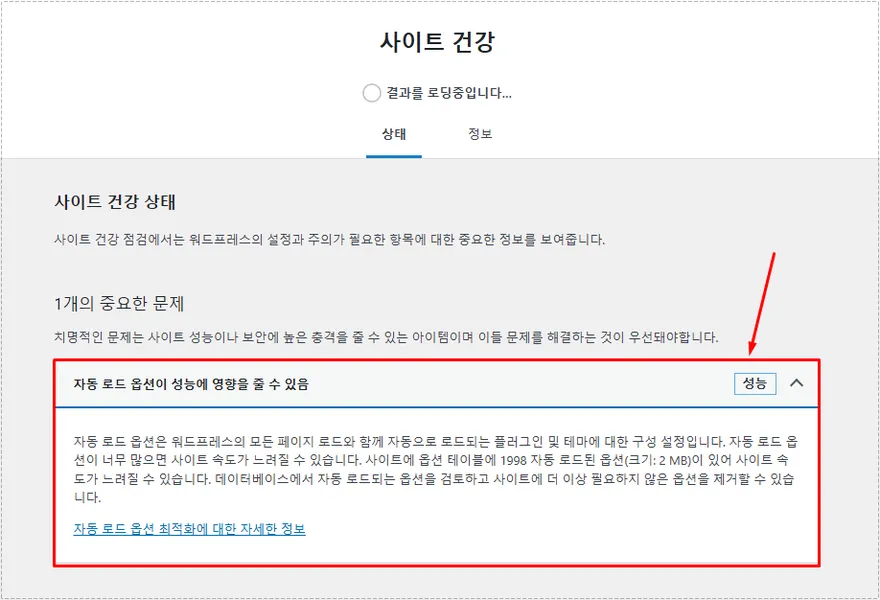 워드프레스 사이트 건강 자동 로드 옵션 경고 화면