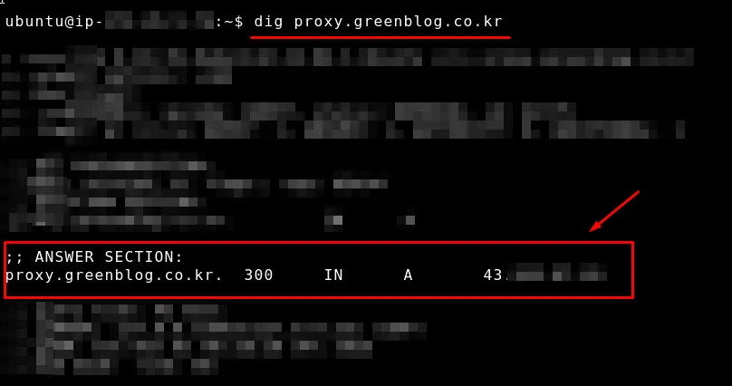 Reverse Proxy 서브도메인 dig 테스트 화면