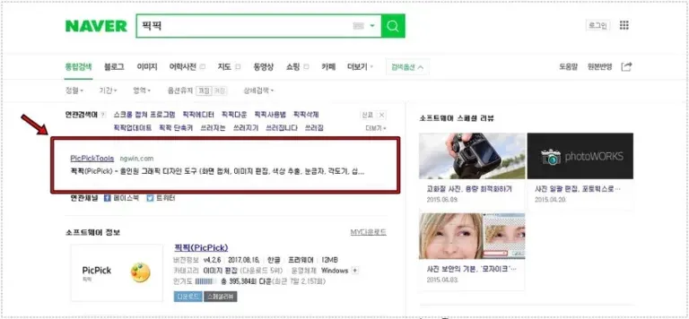 픽픽 관련 검색 결과 중 공식 사이트 영역을 빨간 박스로 표시한 화면