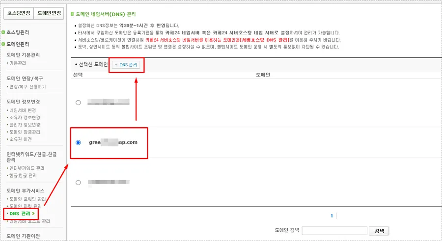카페24 DNS 관리 메뉴에서 도메인을 선택하고 DNS 관리로 들어가는 화면