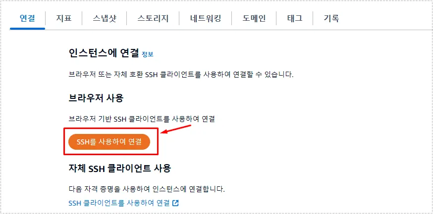 AWS Lightsail 서버에 브라우저 SSH로 접속하는 화면
