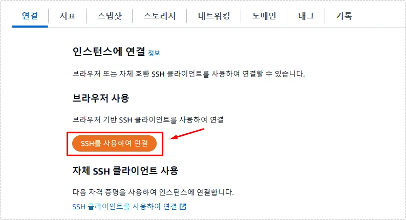 AWS Lightsail 인스턴스에서 SSH 연결 버튼을 선택한 화면