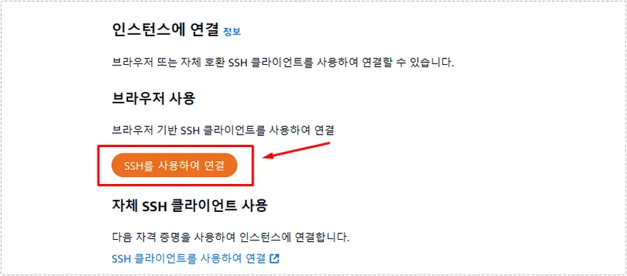 AWS Lightsail 인스턴스 화면에서 SSH를 사용하여 연결 버튼이 표시된 모습