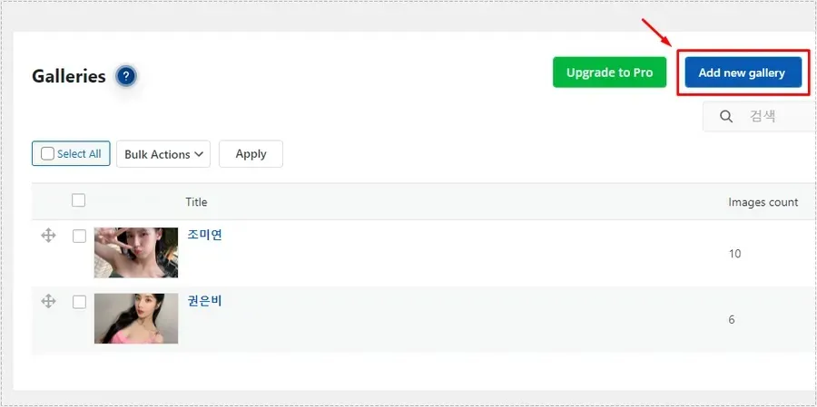 Photo Gallery 플러그인 설정 방법에서 Add new gallery 버튼을 선택하는 화면