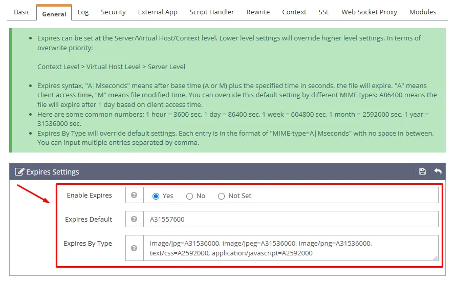 OpenLiteSpeed WebAdmin에서 Virtual Host 설정을 확인하는 화면