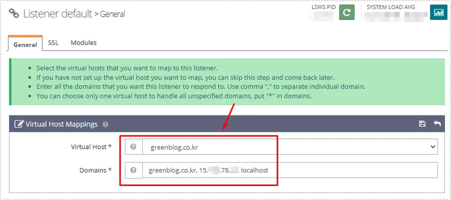 OpenLiteSpeed Virtual Host Mapping showing domain and IP assignments