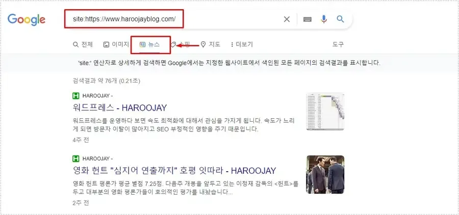 site 검색으로 뉴스 탭 노출 여부를 확인하는 화면