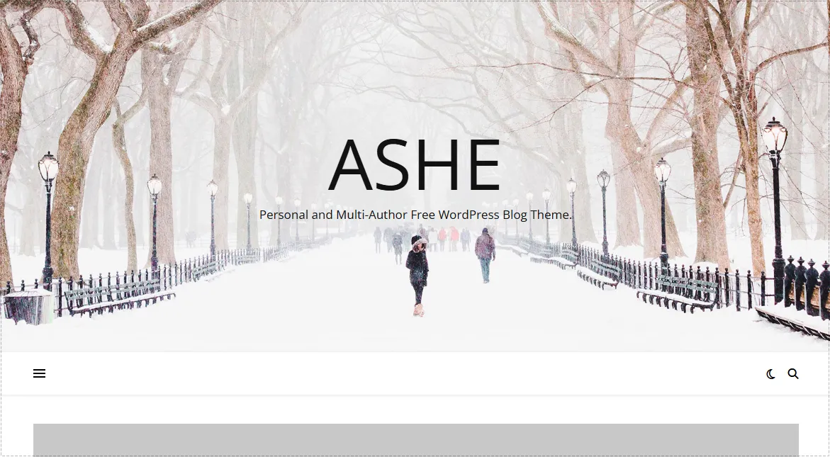 WordPress theme layout displaying a large featured image banner