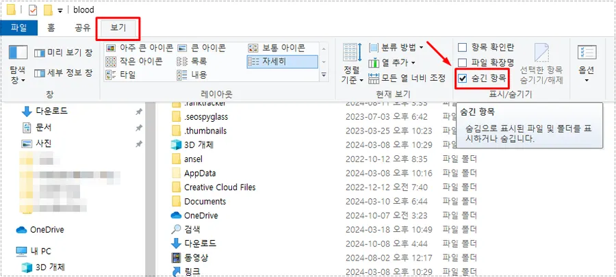 윈도우 파일 탐색기 보기 메뉴에서 숨긴 항목 옵션을 체크하는 화면