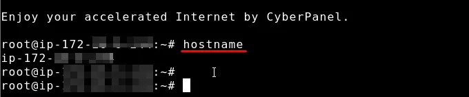 sudo: unable to resolve host 오류 해결을 위한 Lightsail IP 주소 확인 화면